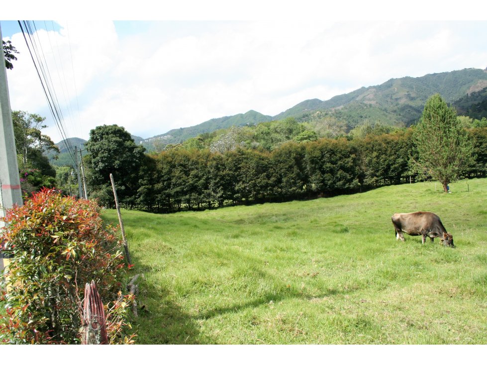 VENTA DE LOTE EN FIZEBAD - 3