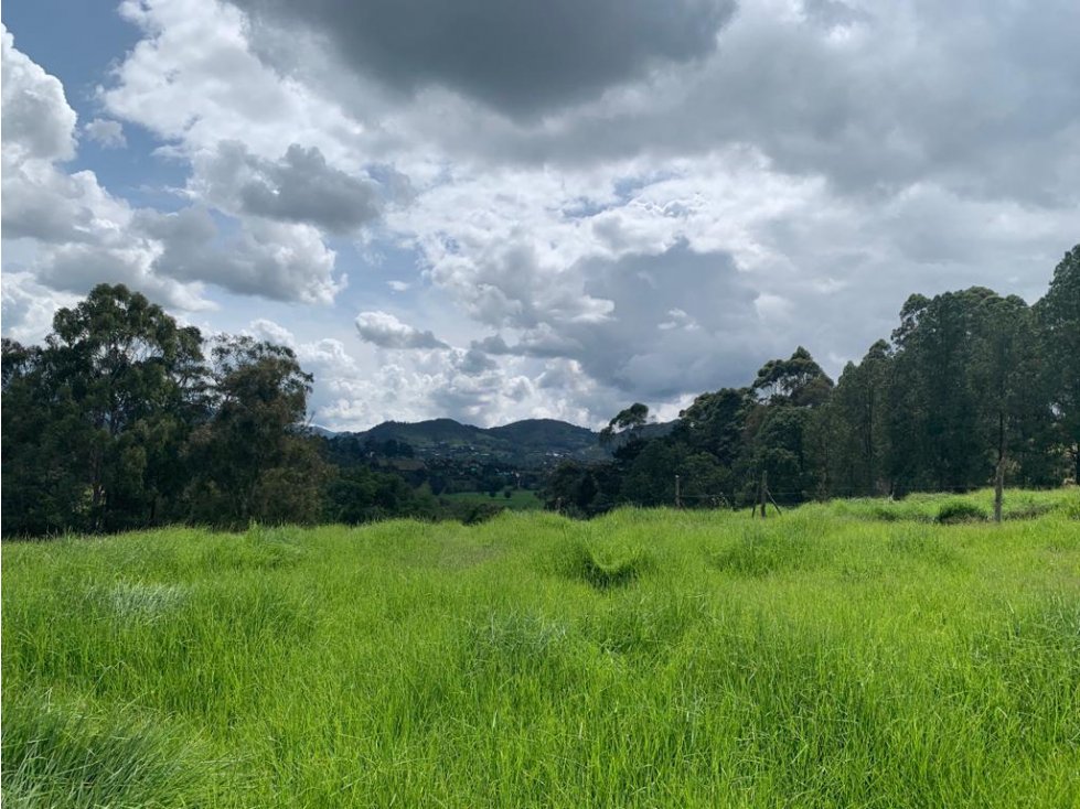Venta de Finca EN LLANOGRANDE