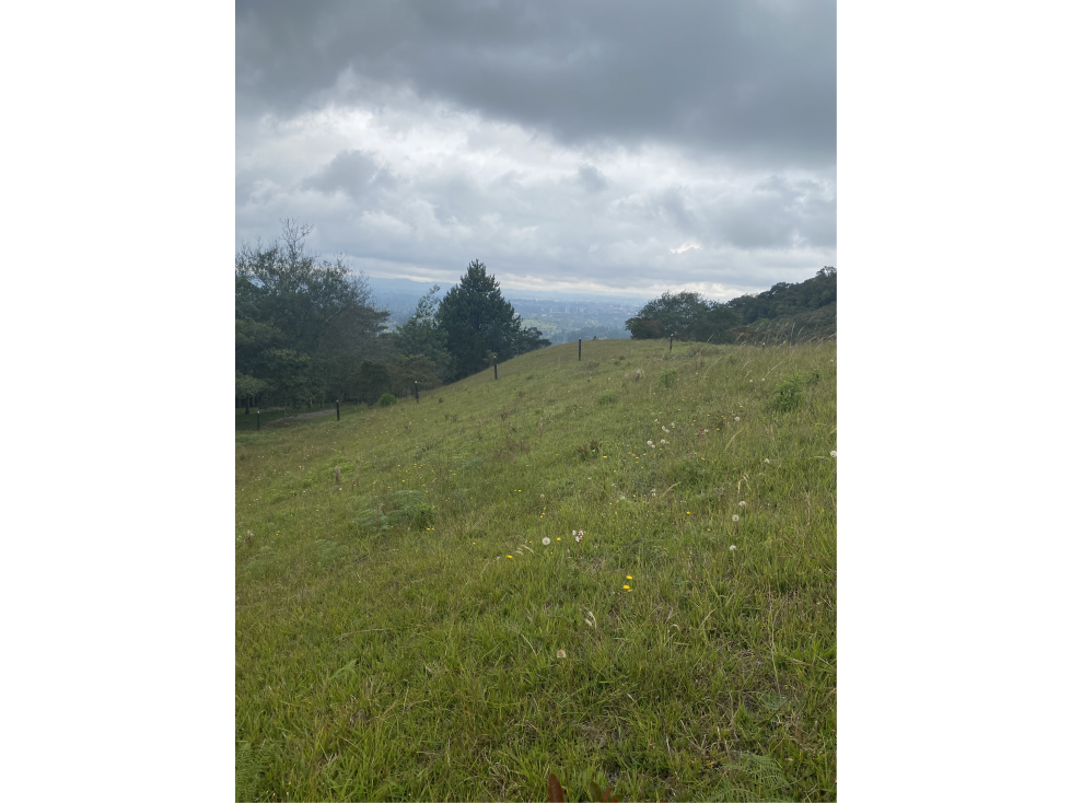 Lote para la venta en alto Capiro