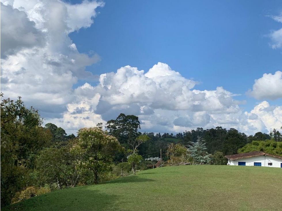 VENTA DE LOTE EN LA CEJA - 5