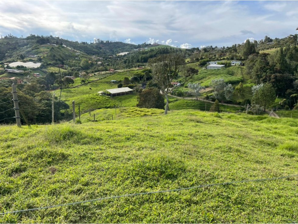 VENTA DE FINCA EN GUARNE - 6
