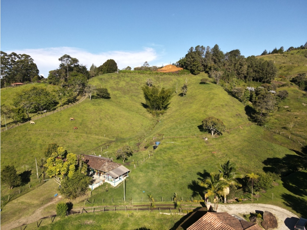 VENTA DE LOTE EN RIONEGRO