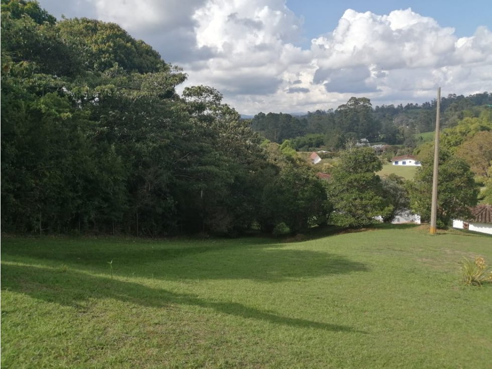 VENTA DE LOTE EN LA CEJA - 3