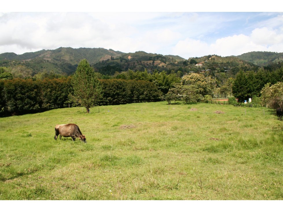VENTA DE LOTE EN FIZEBAD - 4