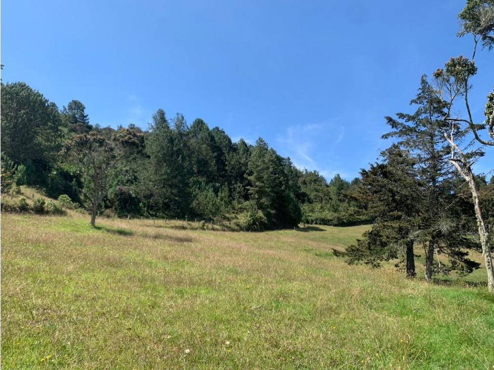 VENTA DE LOTE EN EL RETIRO