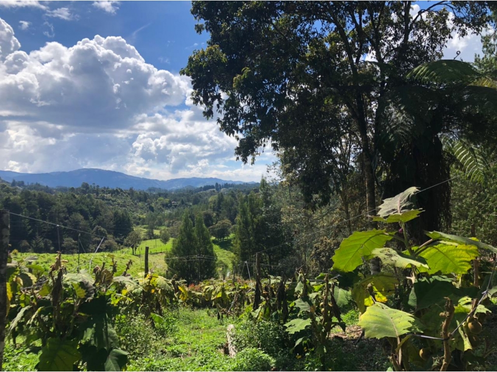 VENTA DE LOTE EN PONTEZUELA