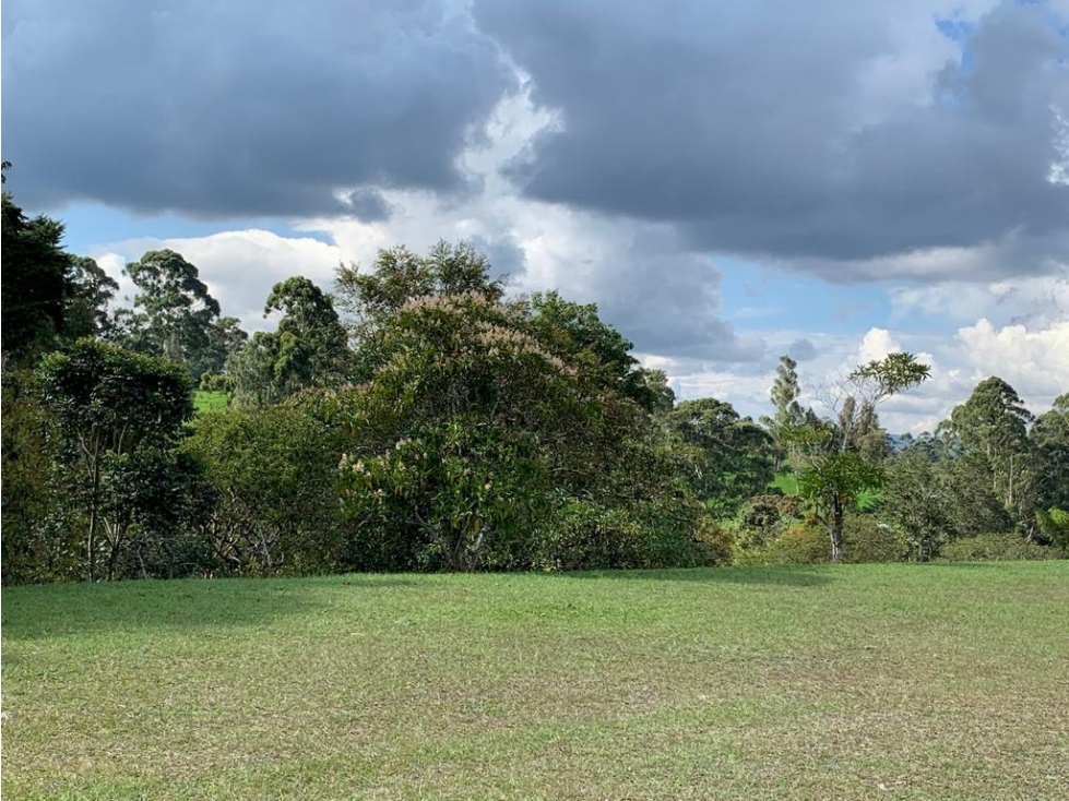 VENTA DE LOTE EN LA CEJA - 2