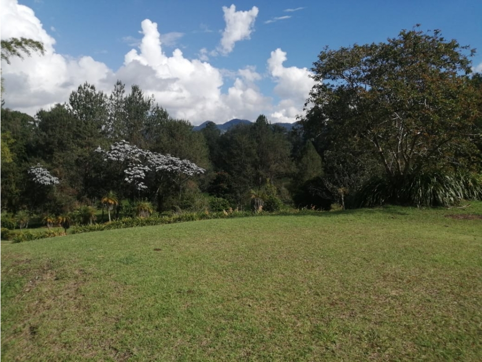 VENTA DE LOTE EN LA CEJA