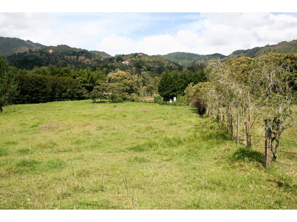 VENTA DE LOTE EN FIZEBAD
