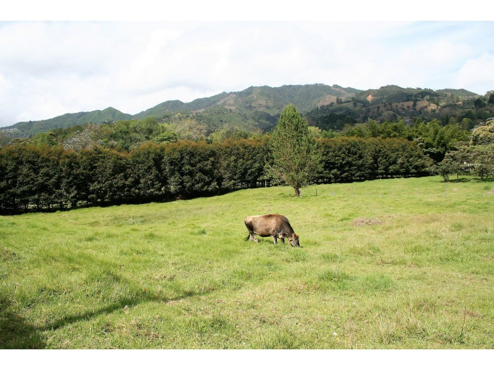 VENTA DE LOTE EN FIZEBAD - 2