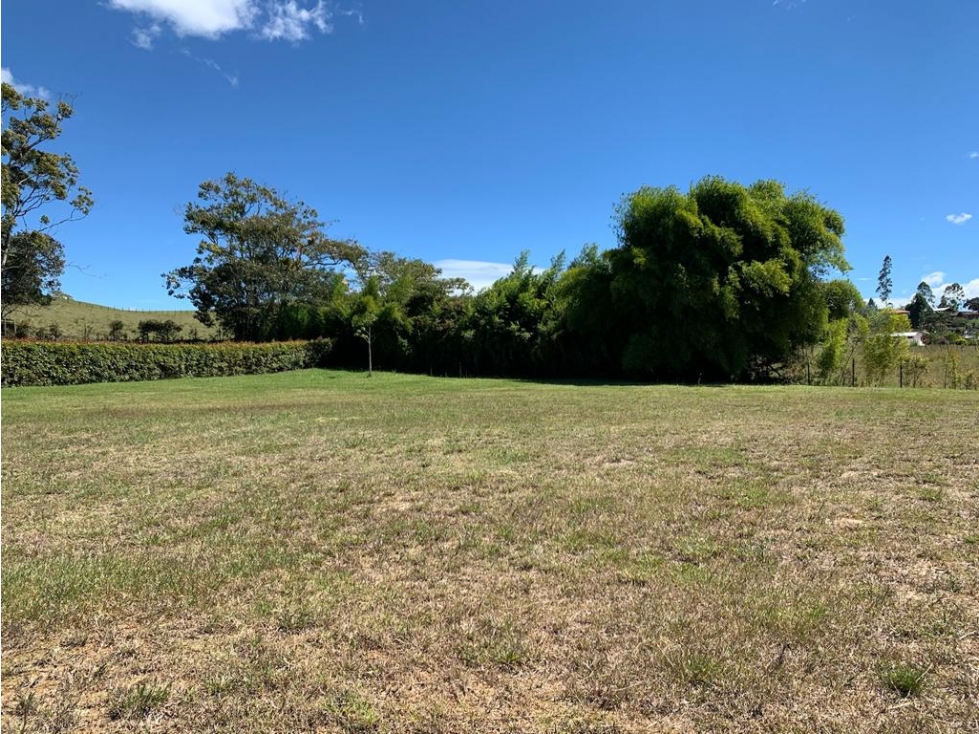 VENTA DE LOTE EN LLANOGRANDE