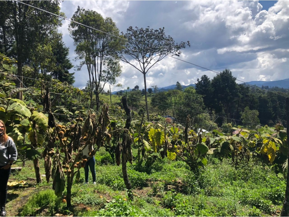 VENTA DE LOTE EN PONTEZUELA — foto 2