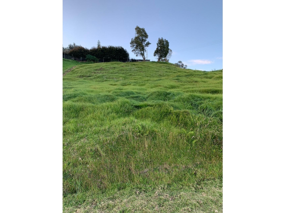 LOTE EN EL ALTO DE LAS PALMAS