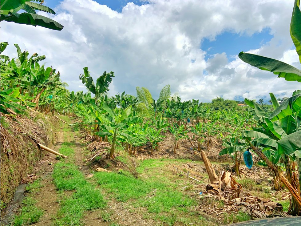 Se Vende Finca Suburbana Para Sub-Division El Caimo Armenia