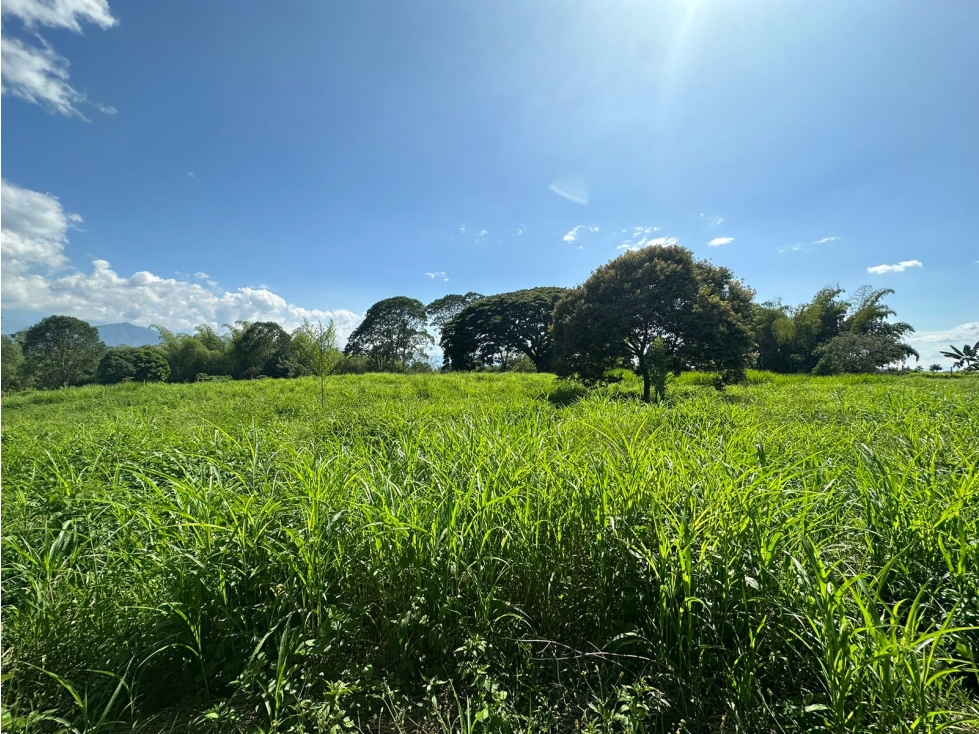 Vendo Lote Campestre Independiente Vereda Golconda El Caimo — foto 3