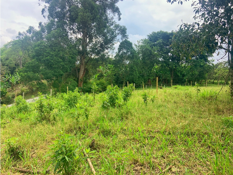 Se Vende Lote Sub-Urbano Armenia Quindio El Caimo — foto 5