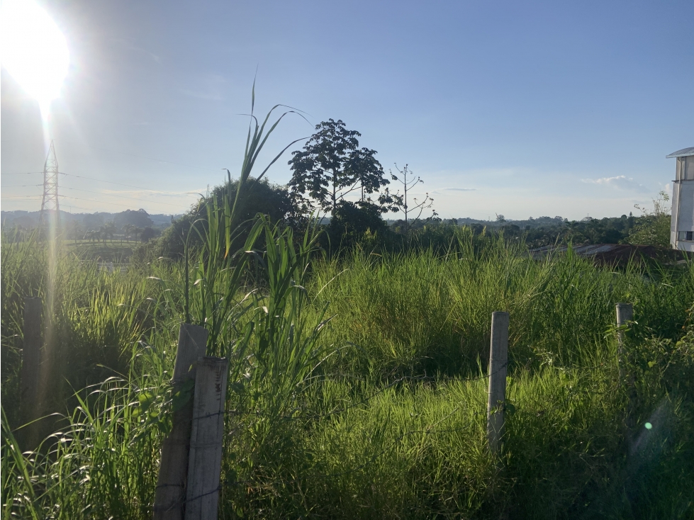 Lote Urbano En Venta Avenida Bolivar (Autopista de Café)