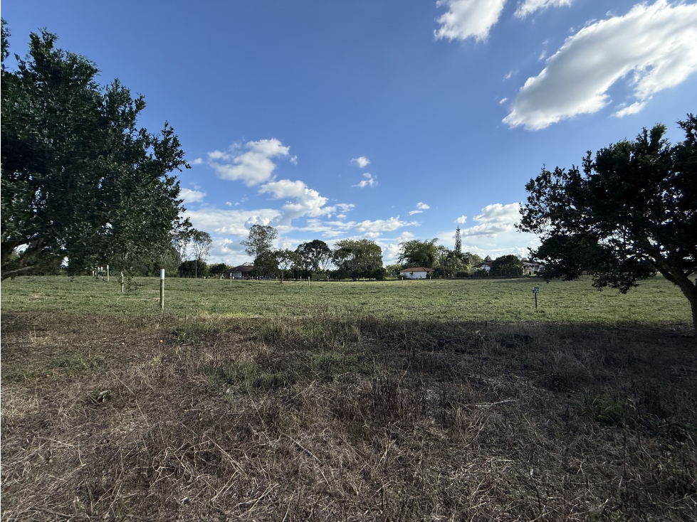 Se Venden Lotes Campestres Proyecto Nuevo Pueblo Tapao 9270426