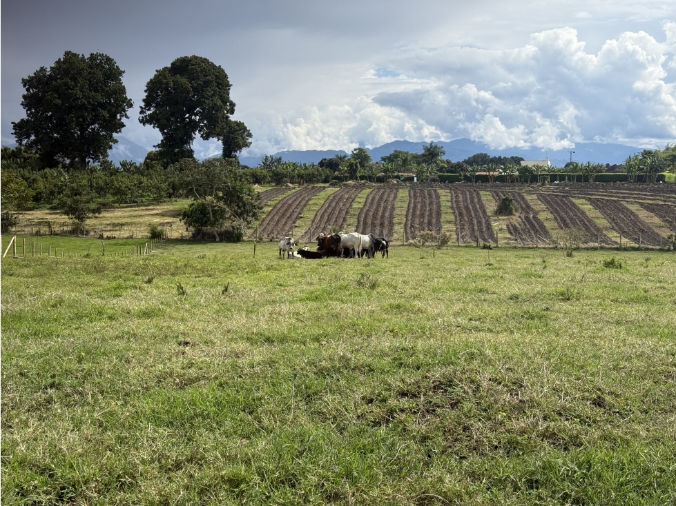 Se Vende Lote Parcelacion Campestre Pueblo Tapao