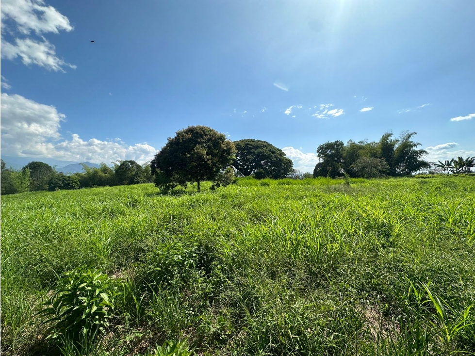 Vendo Lote Campestre Independiente Vereda Golconda El Caimo — foto 4