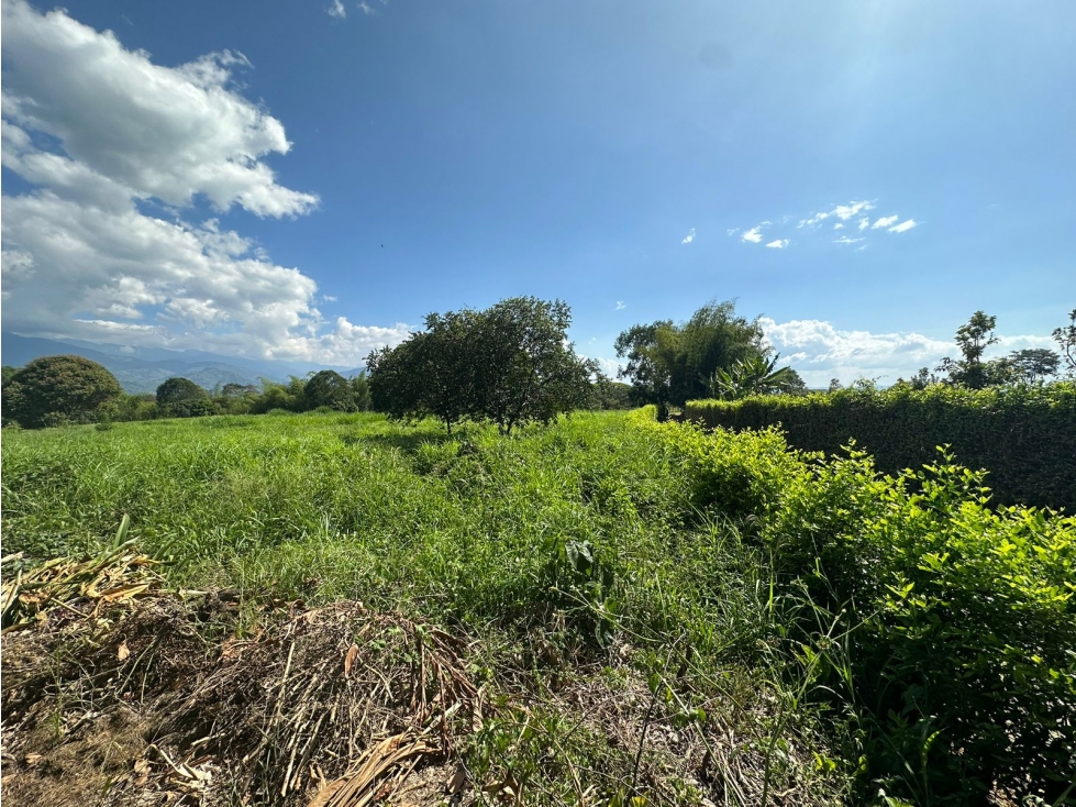 Vendo Lote Campestre Independiente Vereda Golconda El Caimo — foto 5