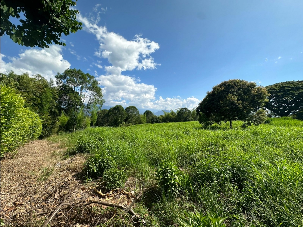 Vendo Lote Campestre Independiente Vereda Golconda El Caimo — foto 6