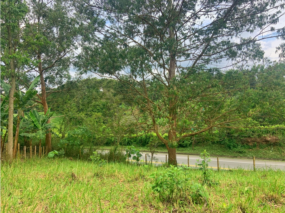 Se Vende Lote Sub-Urbano Armenia Quindio El Caimo