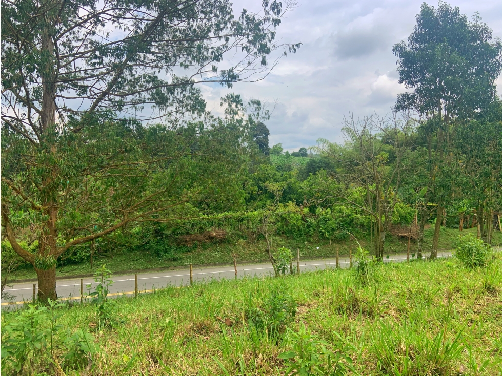 Se Vende Lote Sub-Urbano Armenia Quindio El Caimo — foto 4
