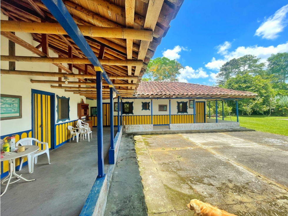 Se Vende Finca El Caimo Vista Cañon Rio Quindío — foto 2