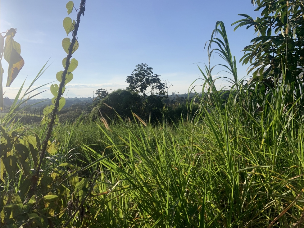 Lote Urbano En Venta Avenida Bolivar (Autopista de Café) — foto 2