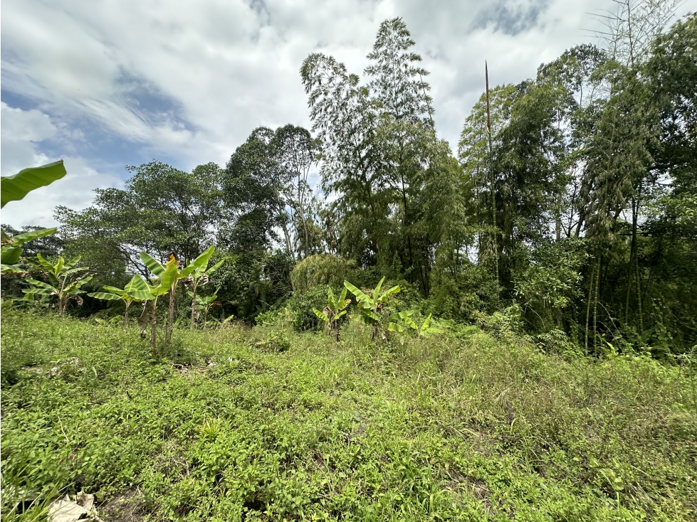 Lote Sub Urbano En Venta Corredor Del Caimo Al Eden Armenia — foto 2