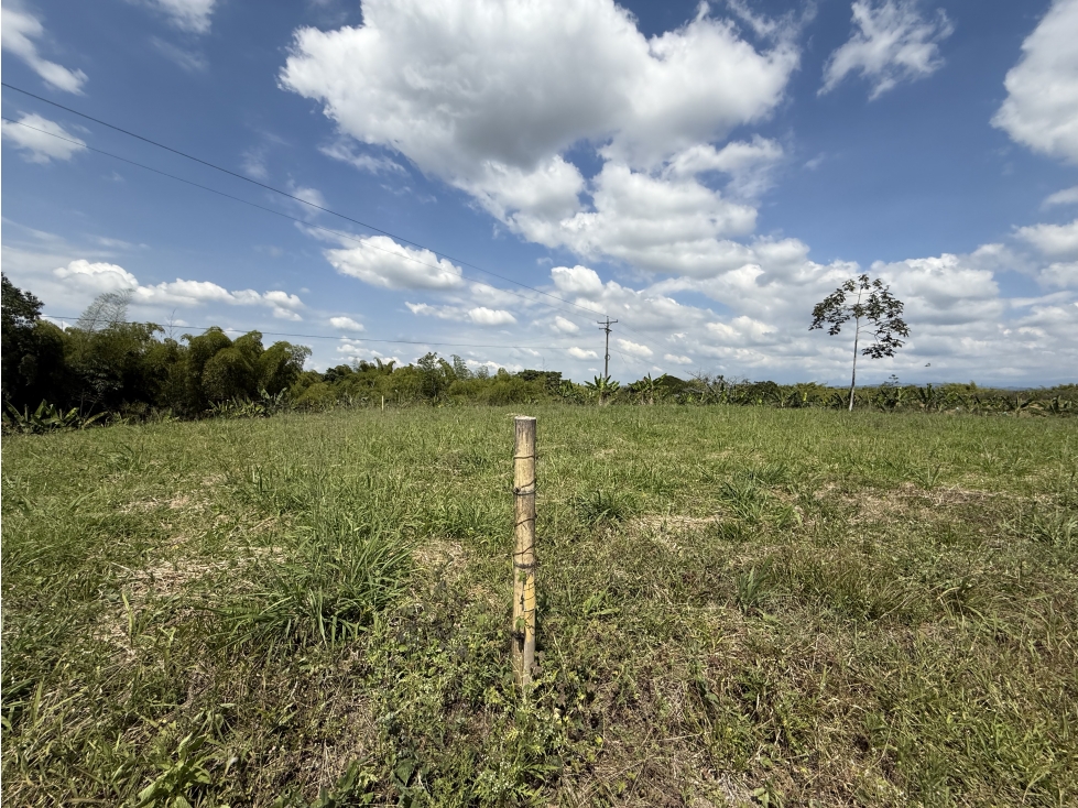 Se Venden Lotes Campestres Parcelacion Panaca Quimbaya — foto 2