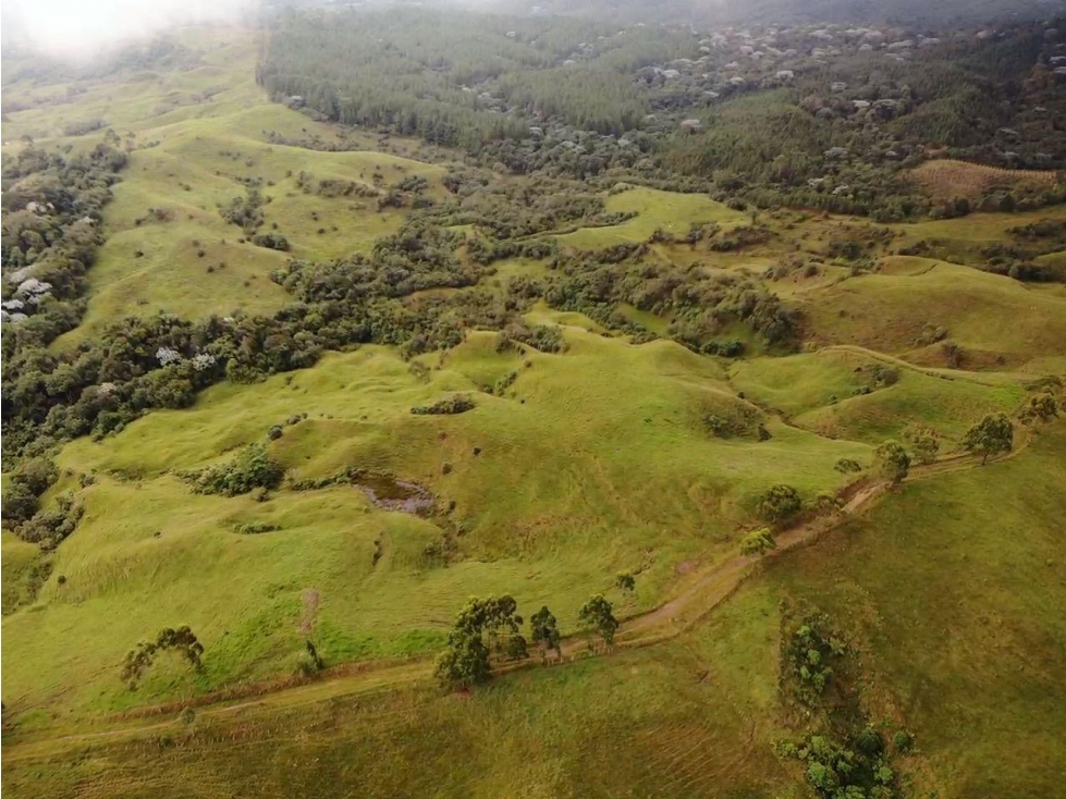 Se vende finca 200 cuadras Filandia, vía principal Armenia - Pereira - 2