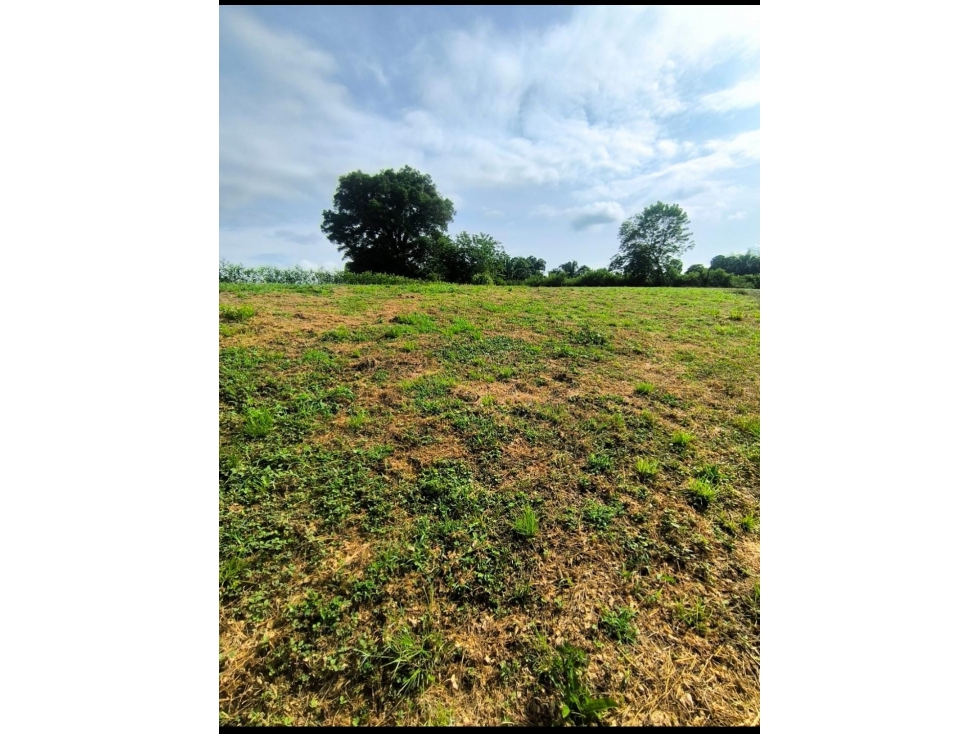 Lote En Venta Parcelación Cerritos Pereira — foto 2