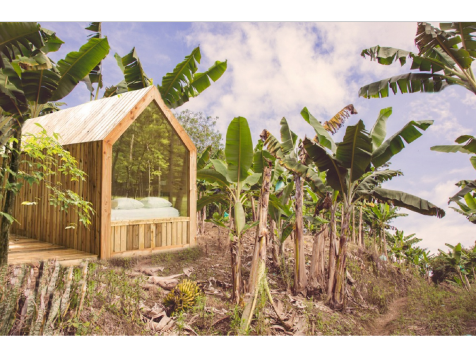 Se Alquila Finca Para Desarrollo Turístico Sembrada En Plátano