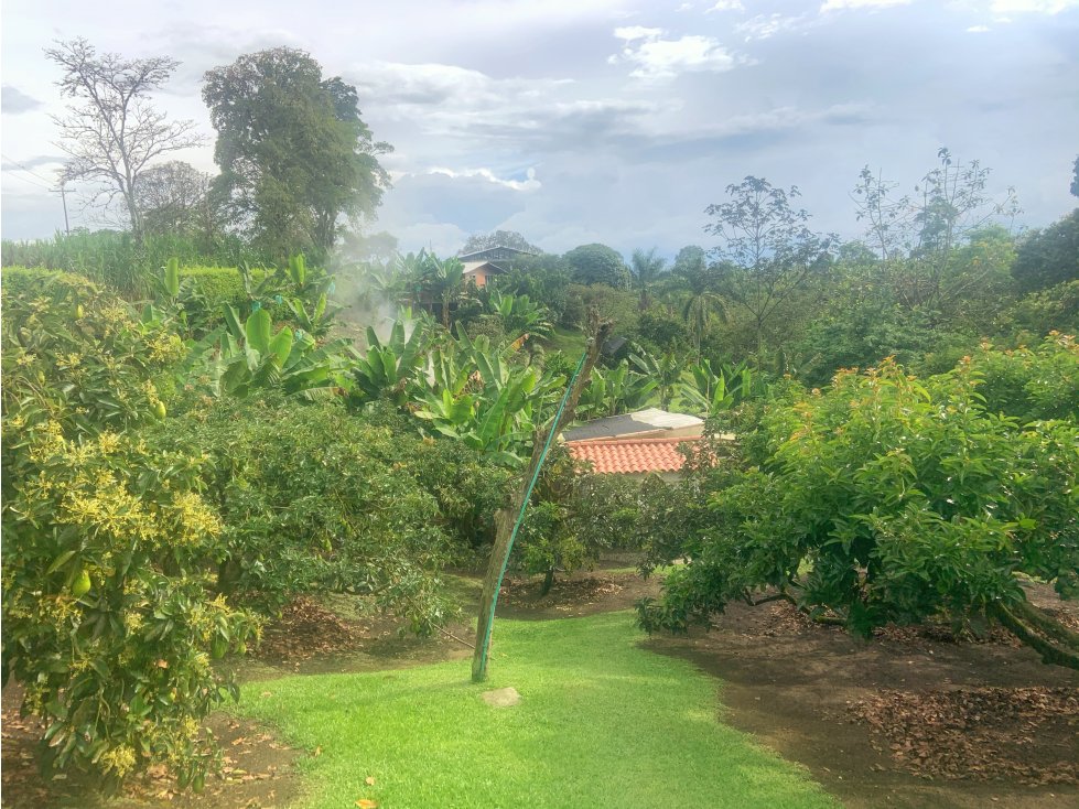 Se Vende Chalet La Bella Calarca Quindio — foto 3