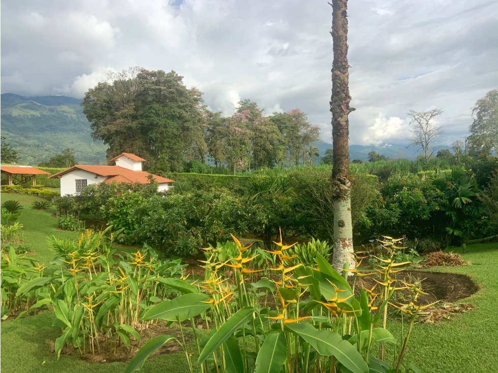 Se Vende Chalet La Bella Calarca Quindio — foto 4