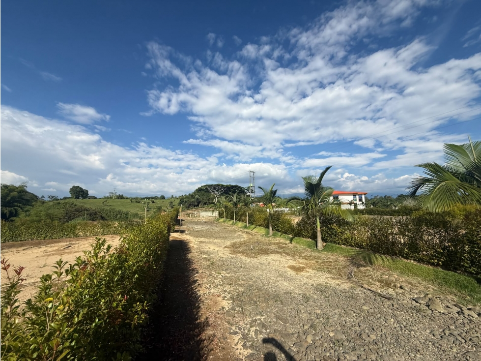 Se Venden Lotes Parcelacion Campestre Montenegro — foto 6