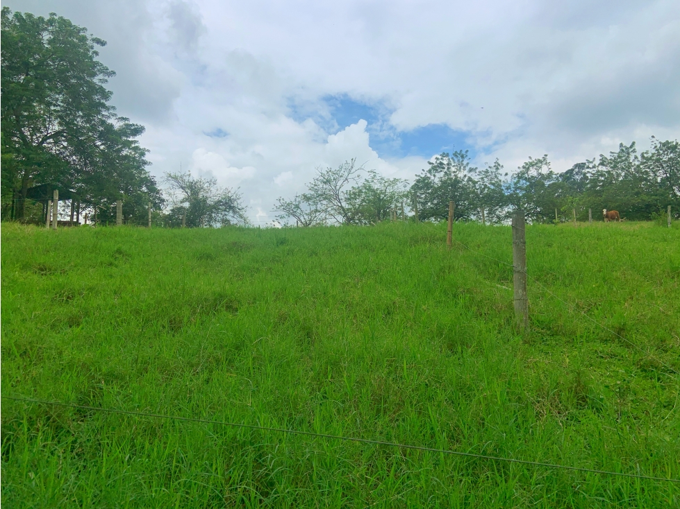 Se Vende Lote Sub-Urbano Armenia Quindio El Caimo — foto 6