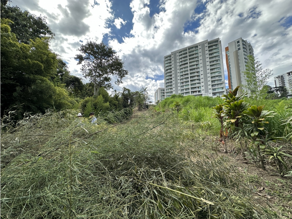 Se Vende Lote Urbano Avenida Centenario Norte Armenia — foto 3