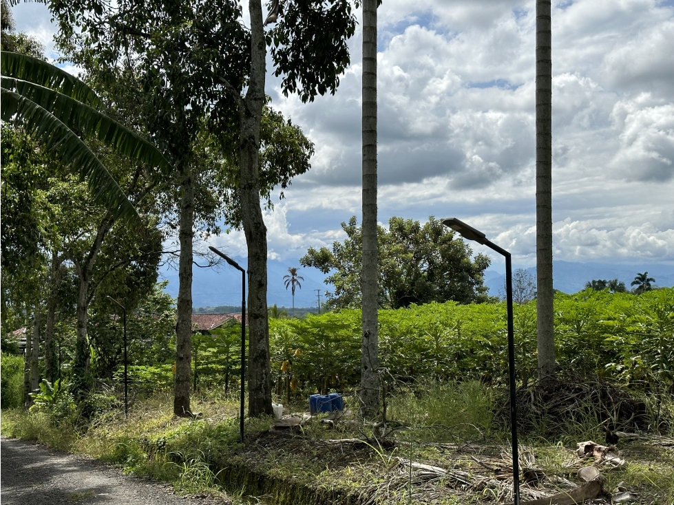 Se Vende Parcelacion De 6 Lotes En Pueblo Tapao Quindio — foto 3