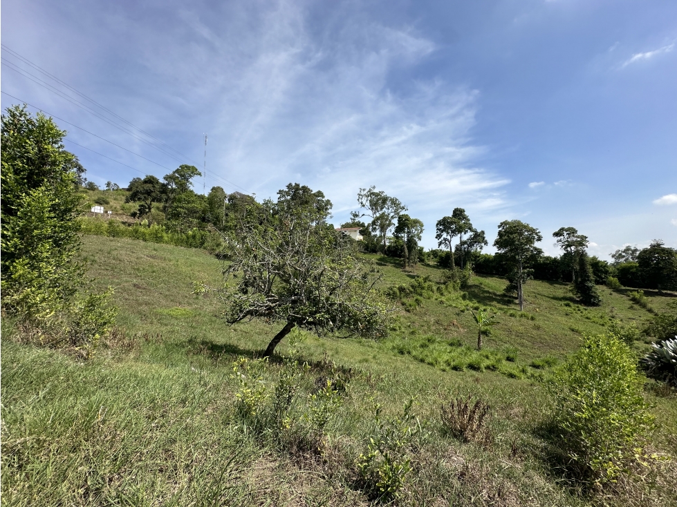 Se Vende Lote Para Desarrollo de Casas Campestres Pueblo Tapao — foto 3