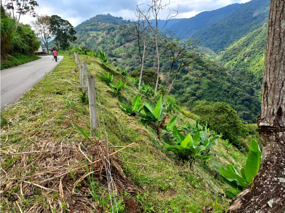 Se Vende Lote A Borde De Via Principal Barragan Genova 9082237 - 4