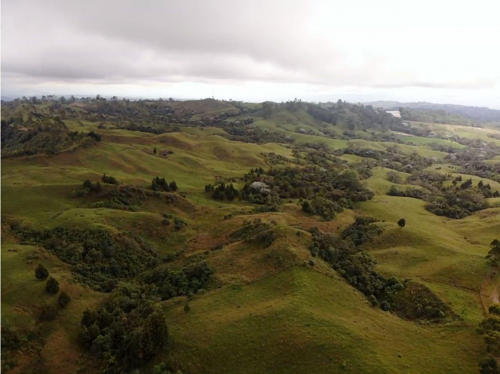 Se vende finca 200 cuadras Filandia, vía principal Armenia - Pereira - 3