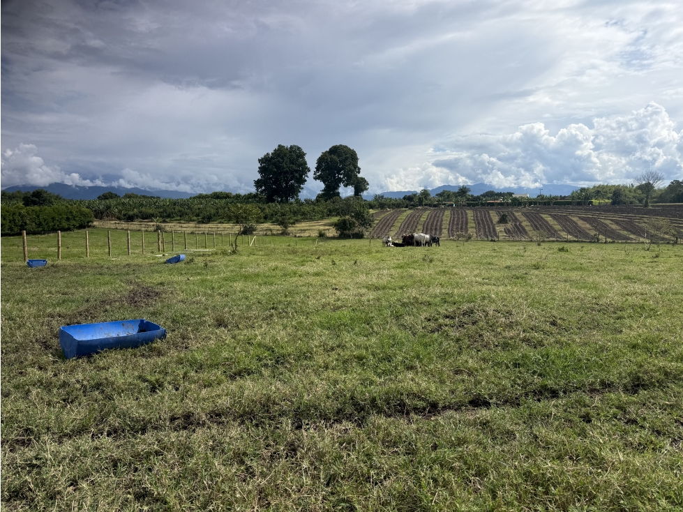 Se Vende Lote Parcelacion Campestre Pueblo Tapao — foto 3