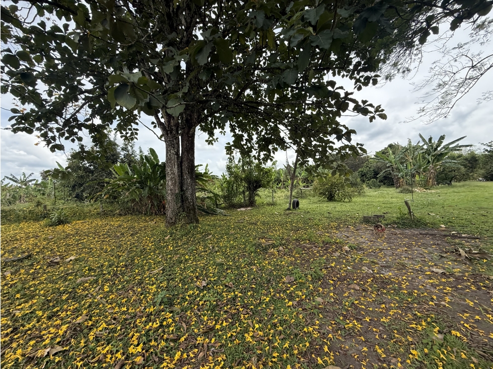 Se Vende Lote Rural Cerca Al Club Campestre De Armenia — foto 2