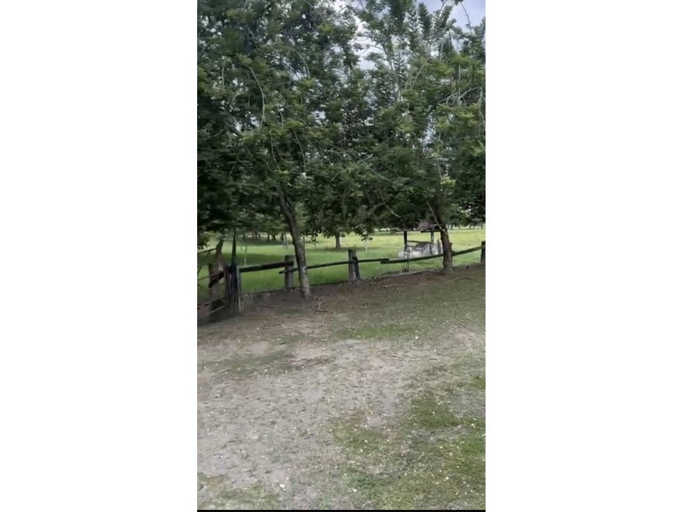 Se Vende Finca Ganadera En Obando Valle Del Cauca - 3