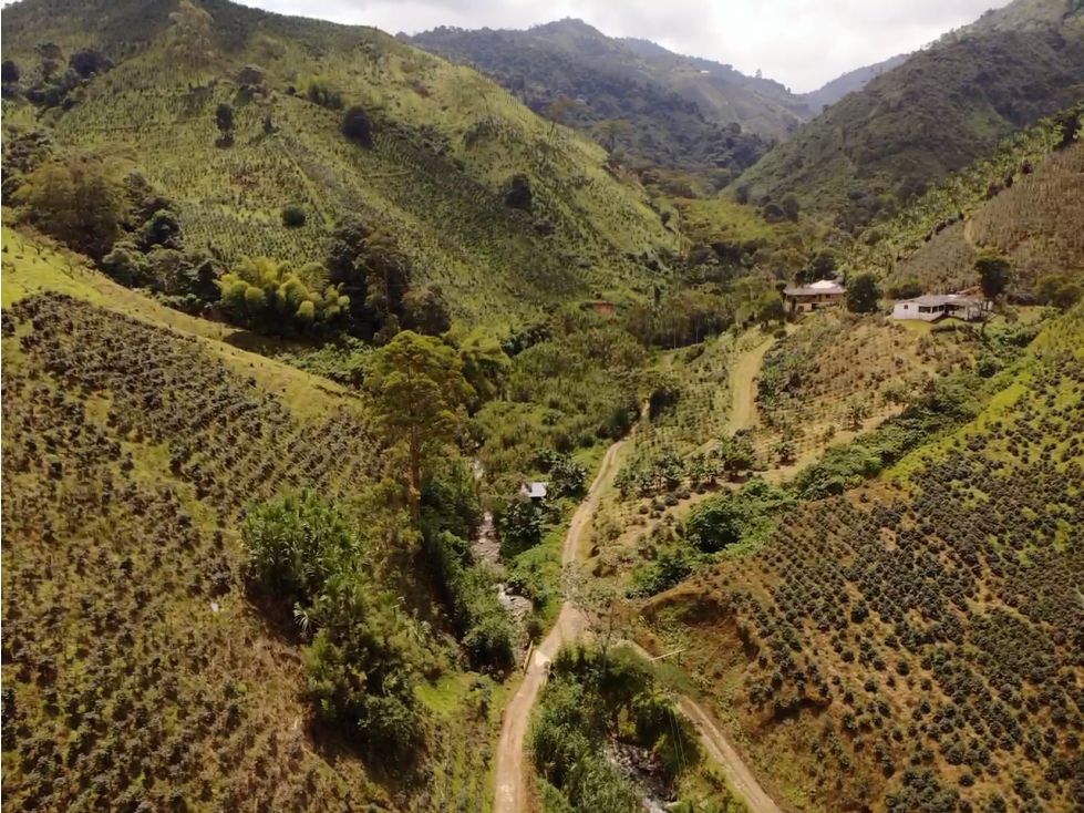 Finca Cafetera A La Venta Santa Rosa De Cabal — foto 2