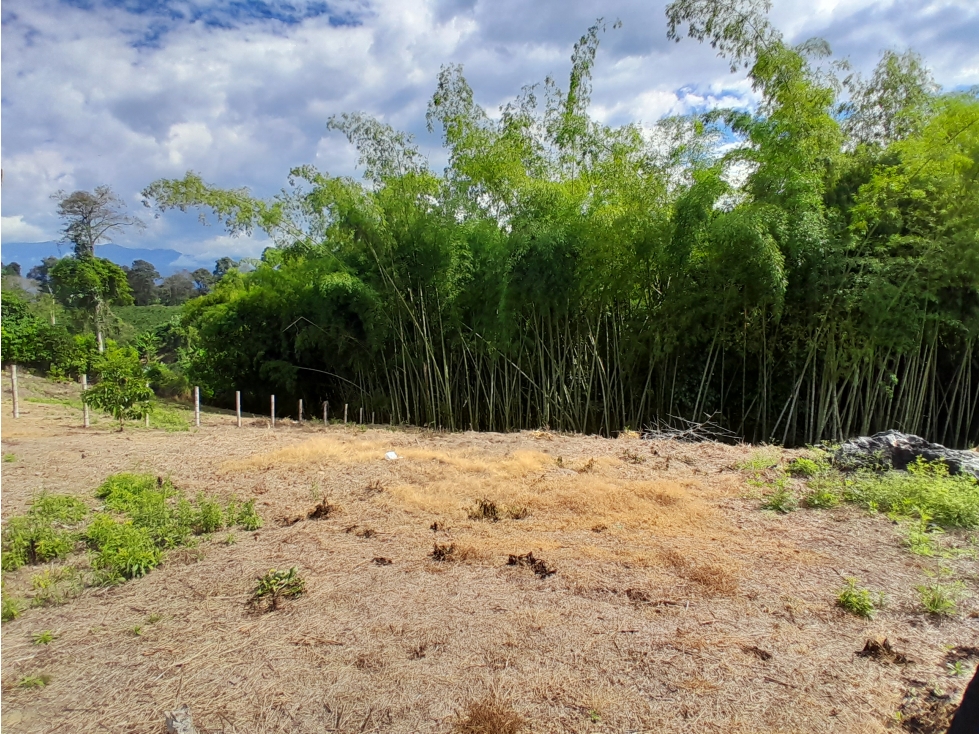 Venta Lote Sobre Via Puerto Espejo Pueblo Tapao — foto 4