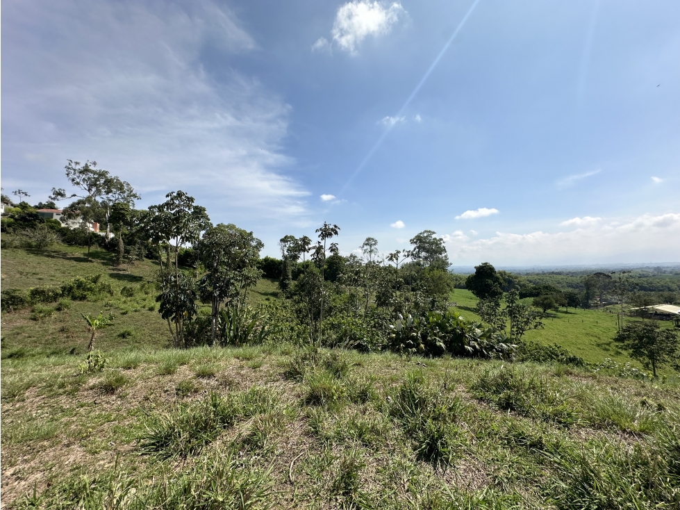 Se Vende Lote Para Desarrollo de Casas Campestres Pueblo Tapao — foto 4